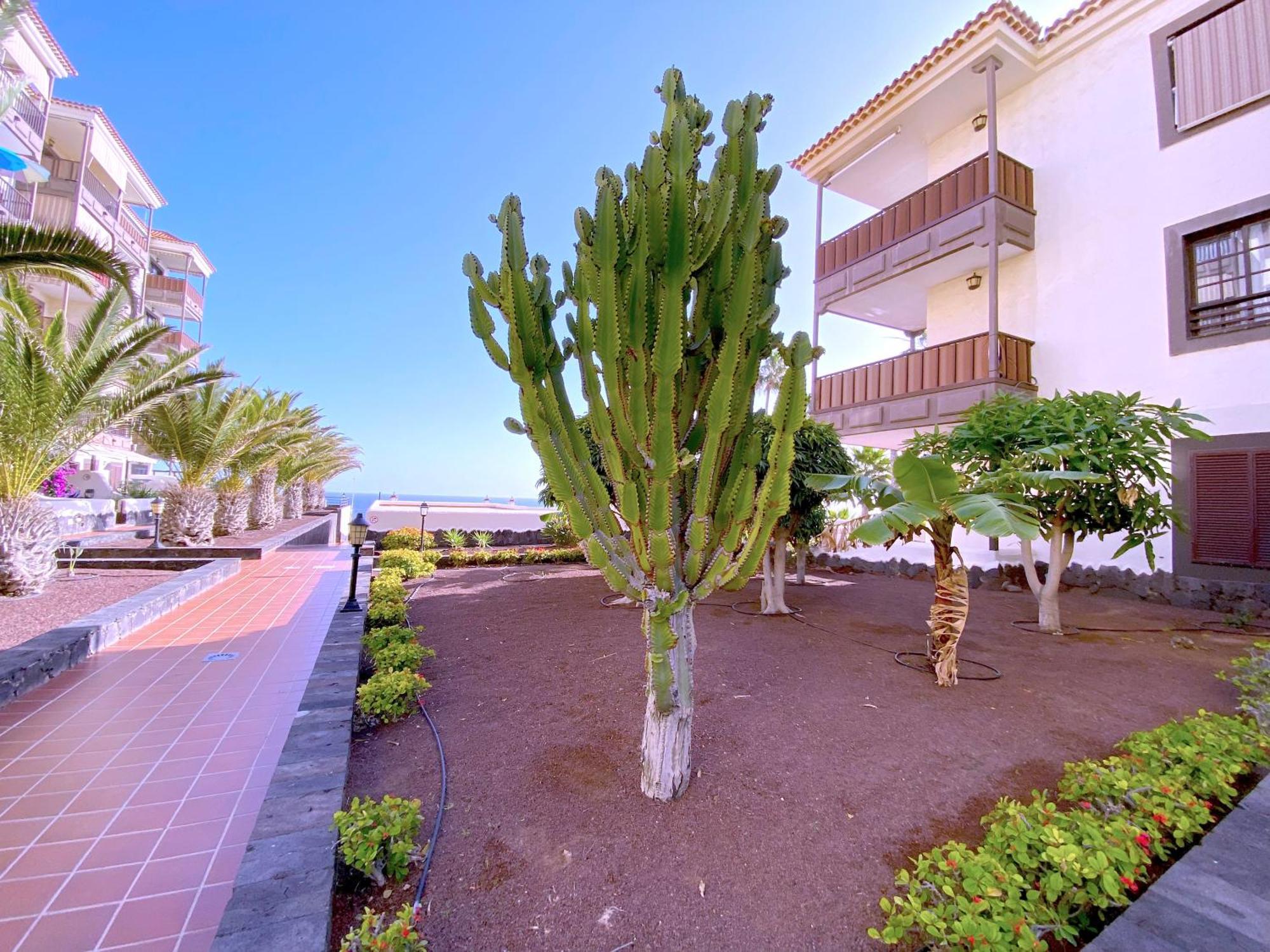 Tropicalidays Costa Mar Appartement Costa Del Silencio Buitenkant foto